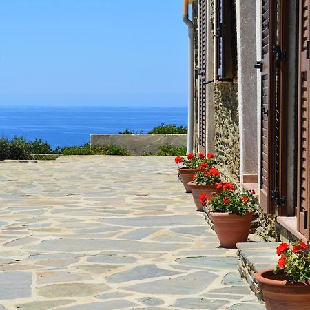 Agriturismo Finagliosu パルマドゥラ エクステリア 写真