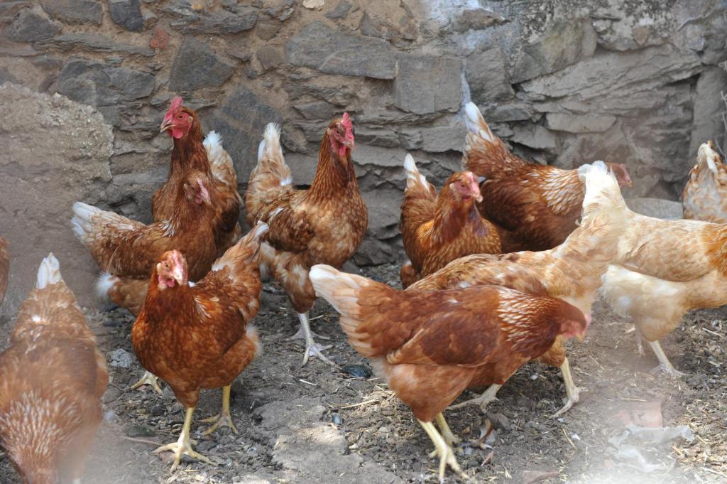 Agriturismo Finagliosu パルマドゥラ エクステリア 写真