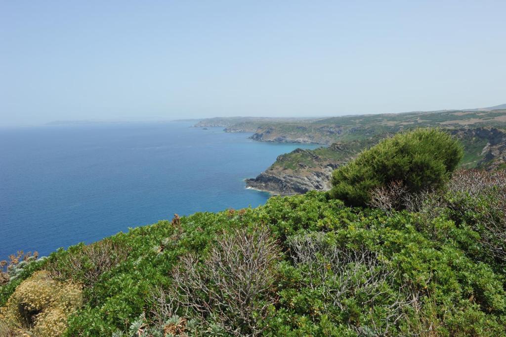 Agriturismo Finagliosu パルマドゥラ エクステリア 写真