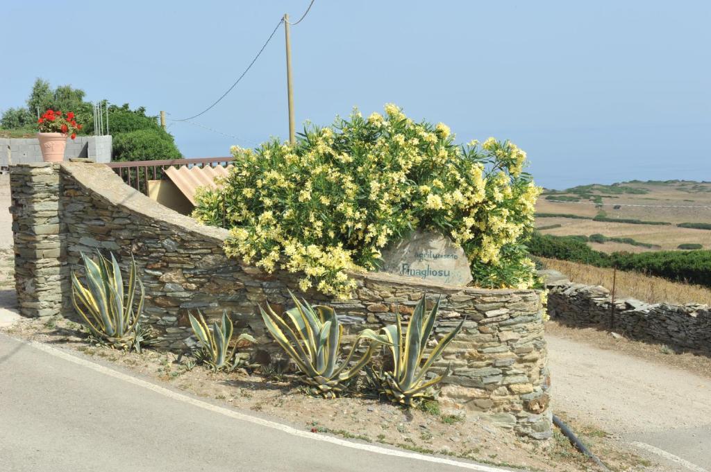 Agriturismo Finagliosu パルマドゥラ エクステリア 写真